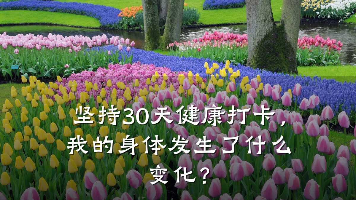 坚持30天健康打卡,我的身体发生了什么变化?