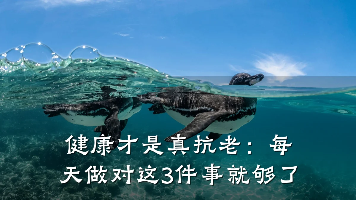 健康才是真抗老:每天做对这3件事就够了