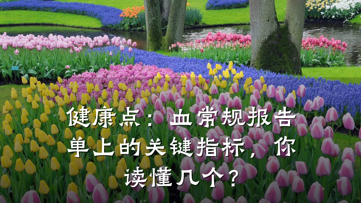 健康点:血常规报告单上的关键指标,你读懂几个?