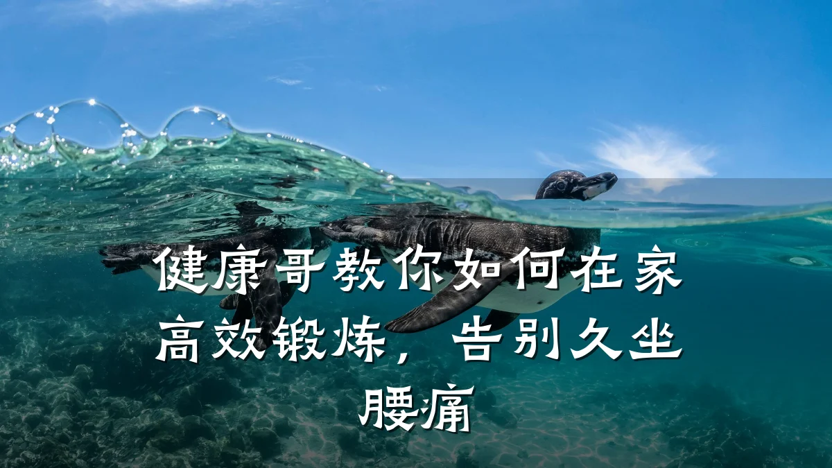 健康哥教你如何在家高效锻炼,告别久坐腰痛