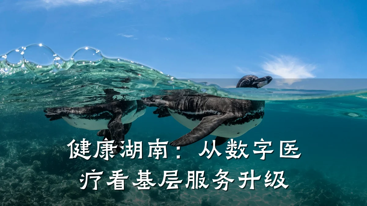 健康湖南:从数字医疗看基层服务升级
