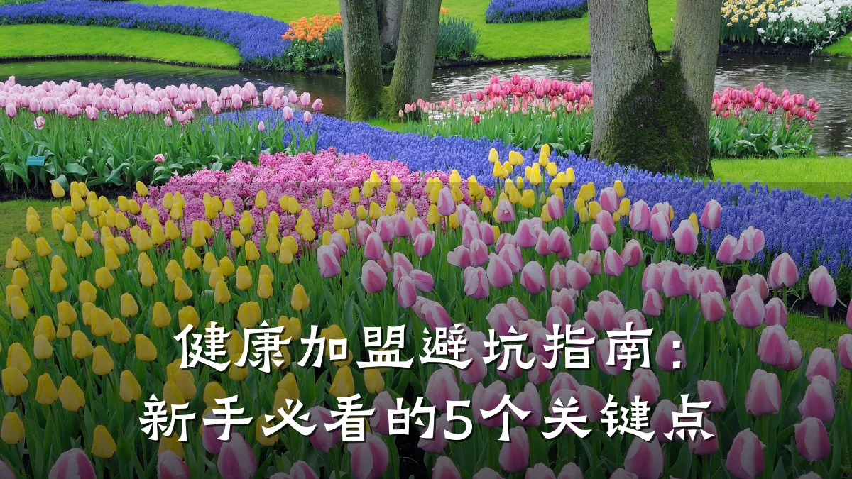健康加盟避坑指南:新手必看的5个关键点