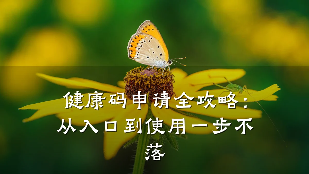 健康码申请全攻略:从入口到使用一步不落