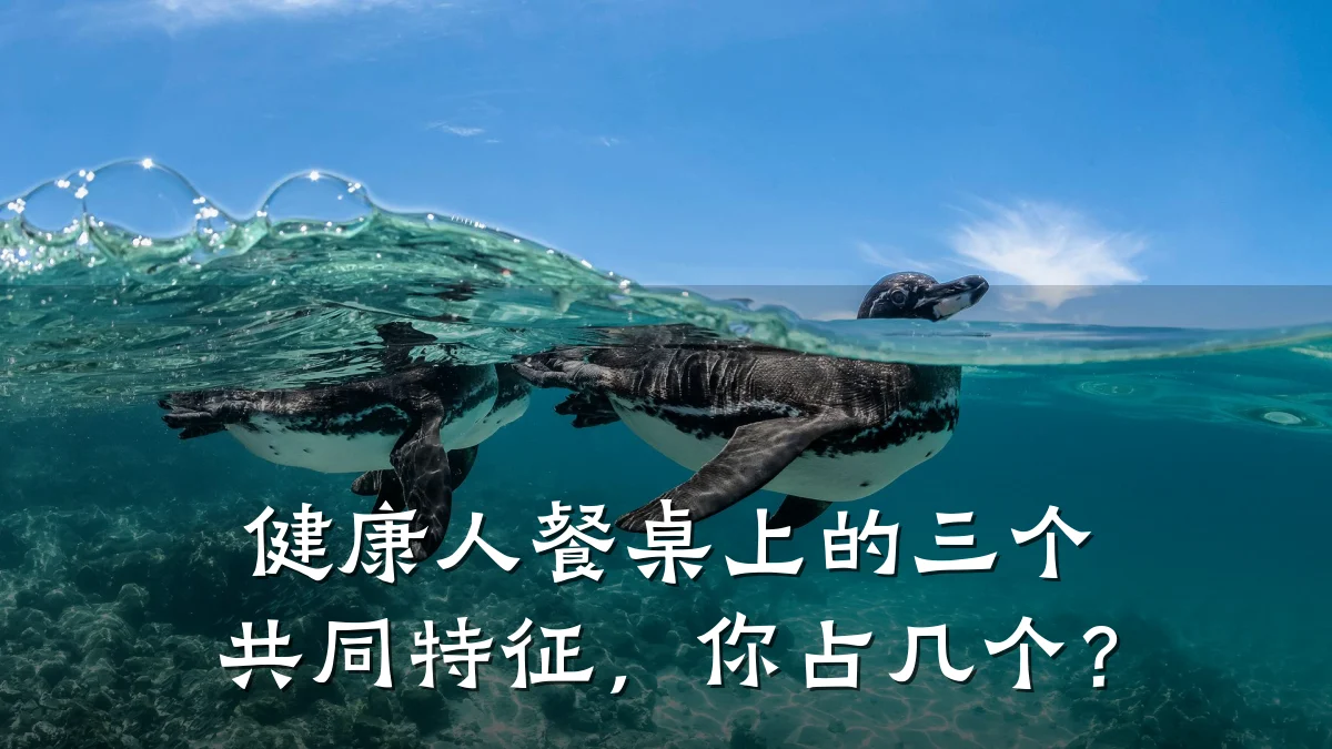 健康人餐桌上的三个共同特征,你占几个?