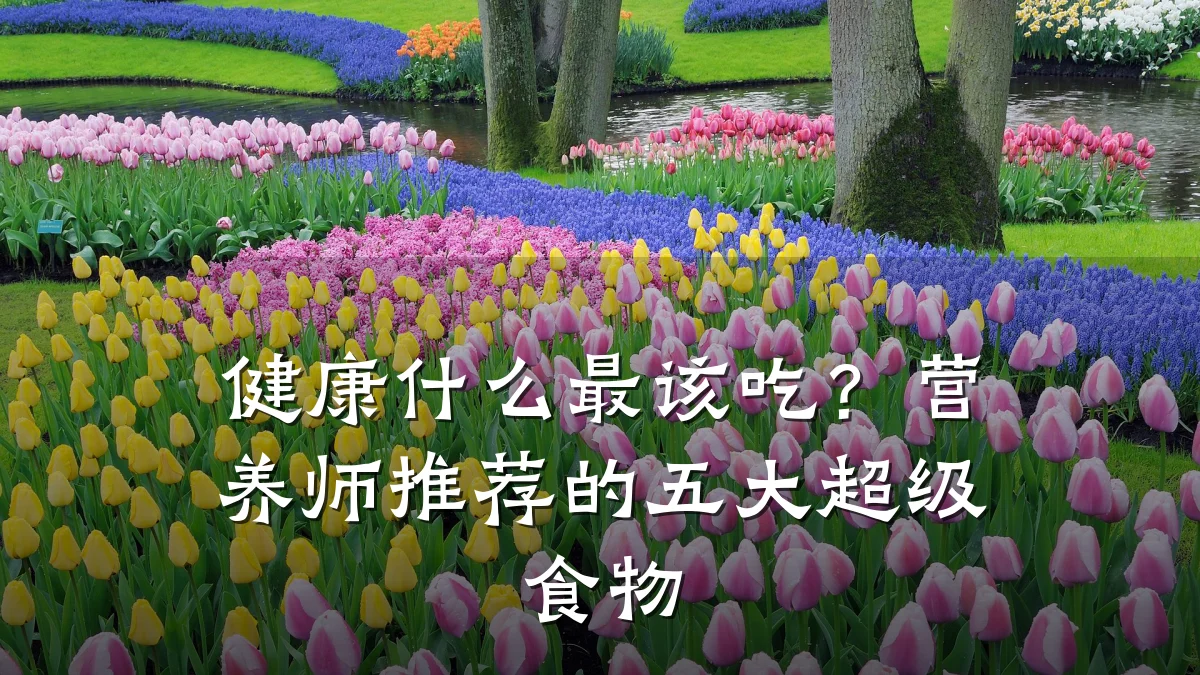 健康什么最该吃?营养师推荐的五大超级食物
