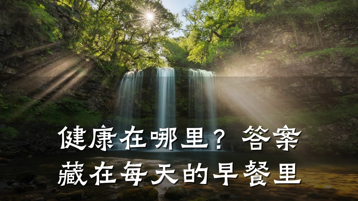健康在哪里?答案藏在每天的早餐里