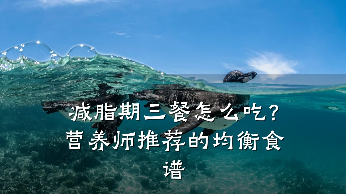 减脂期三餐怎么吃?营养师推荐的均衡食谱