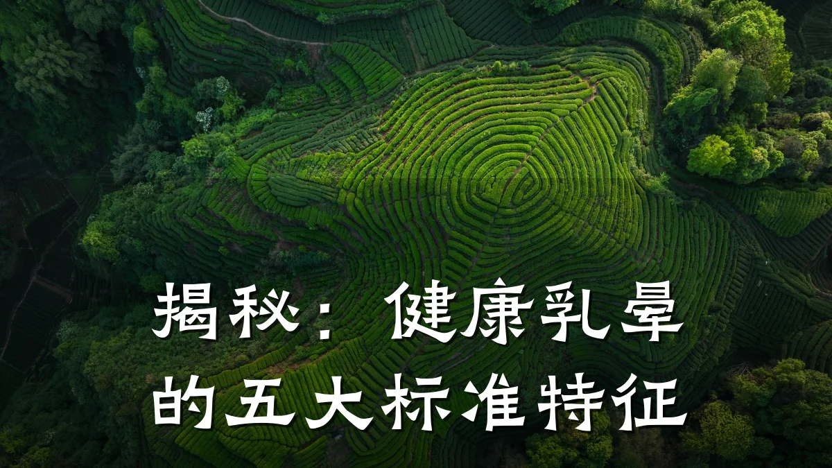 揭秘:健康乳晕的五大标准特征