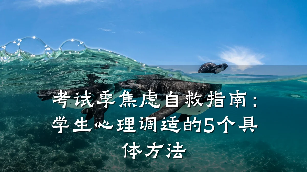 考试季焦虑自救指南:学生心理调适的5个具体方法
