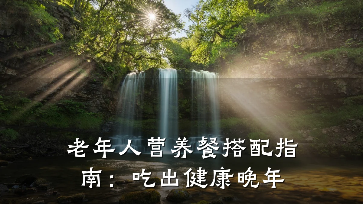 老年人营养餐搭配指南:吃出健康晚年