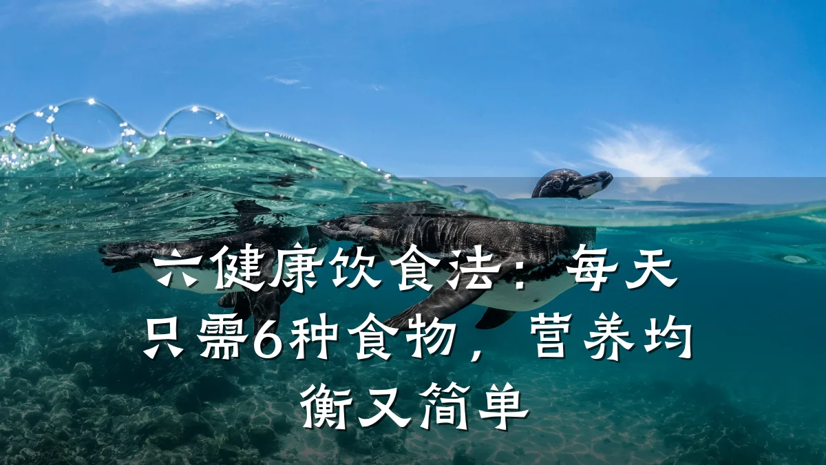 六健康饮食法:每天只需6种食物,营养均衡又简单