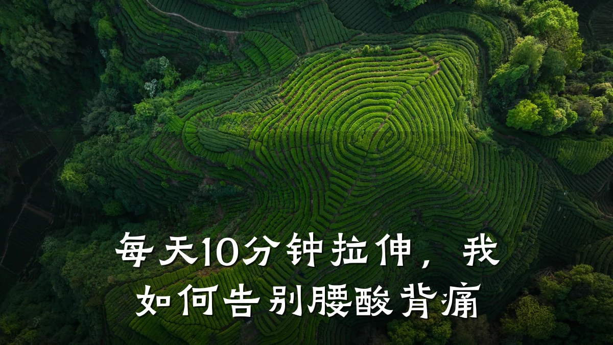 每天10分钟拉伸，我如何告别腰酸背痛