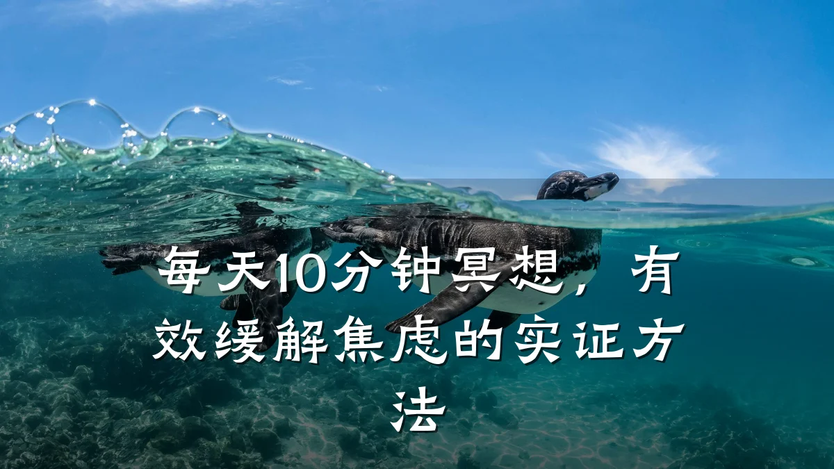 每天10分钟冥想,有效缓解焦虑的实证方法