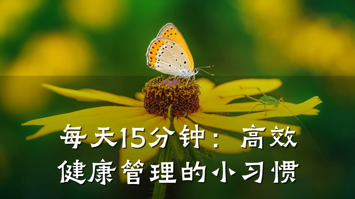 每天15分钟:高效健康管理的小习惯
