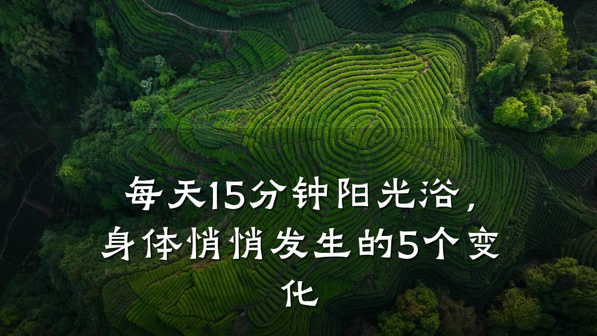 每天15分钟阳光浴,身体悄悄发生的5个变化