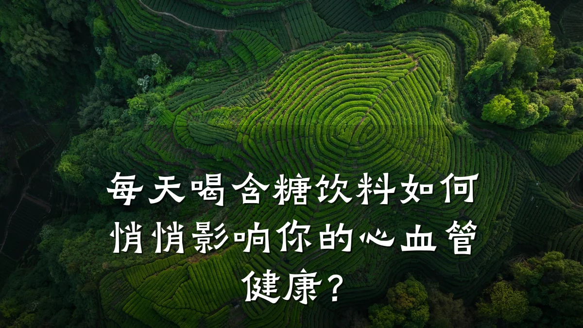 每天喝含糖饮料如何悄悄影响你的心血管健康?