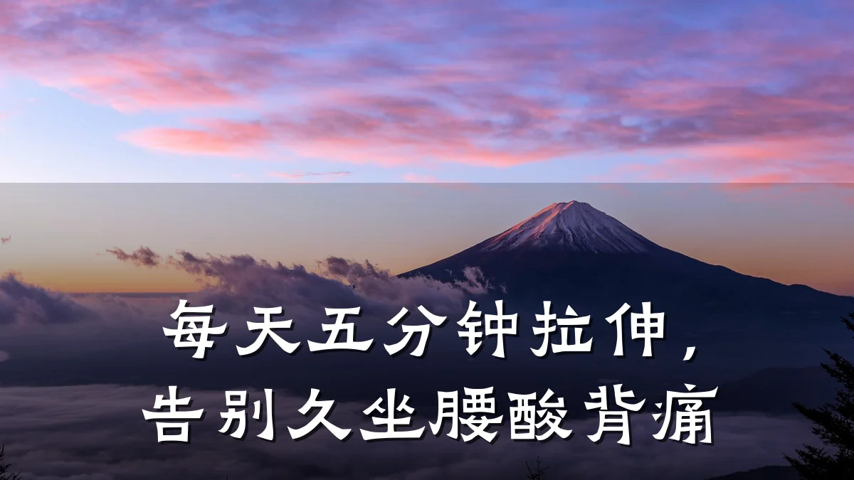 每天五分钟拉伸,告别久坐腰酸背痛