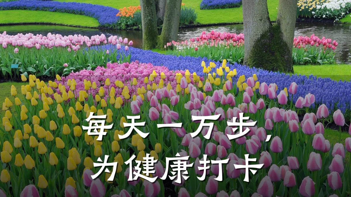 每天一万步,为健康打卡