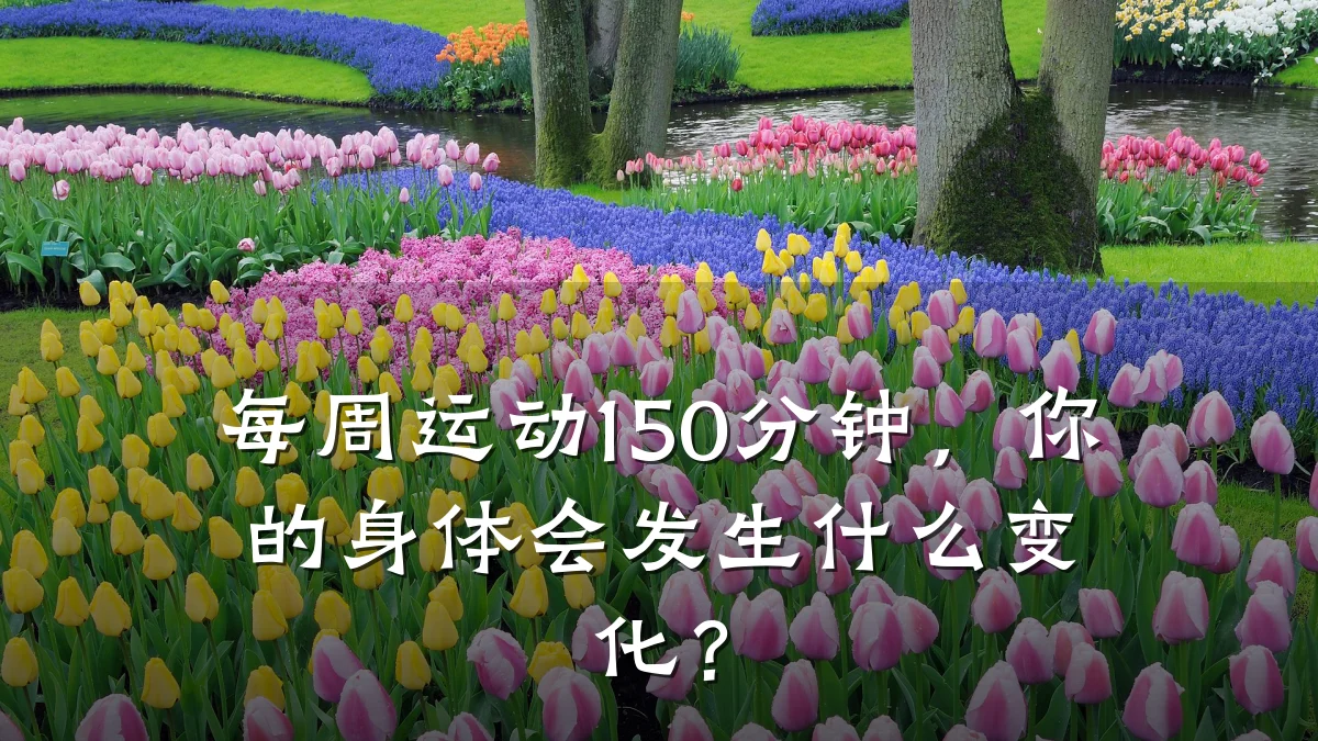 每周运动150分钟,你的身体会发生什么变化?