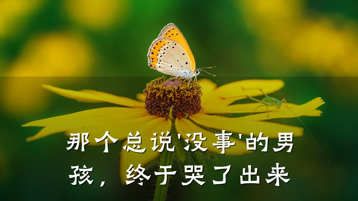 那个总说'没事'的男孩,终于哭了出来