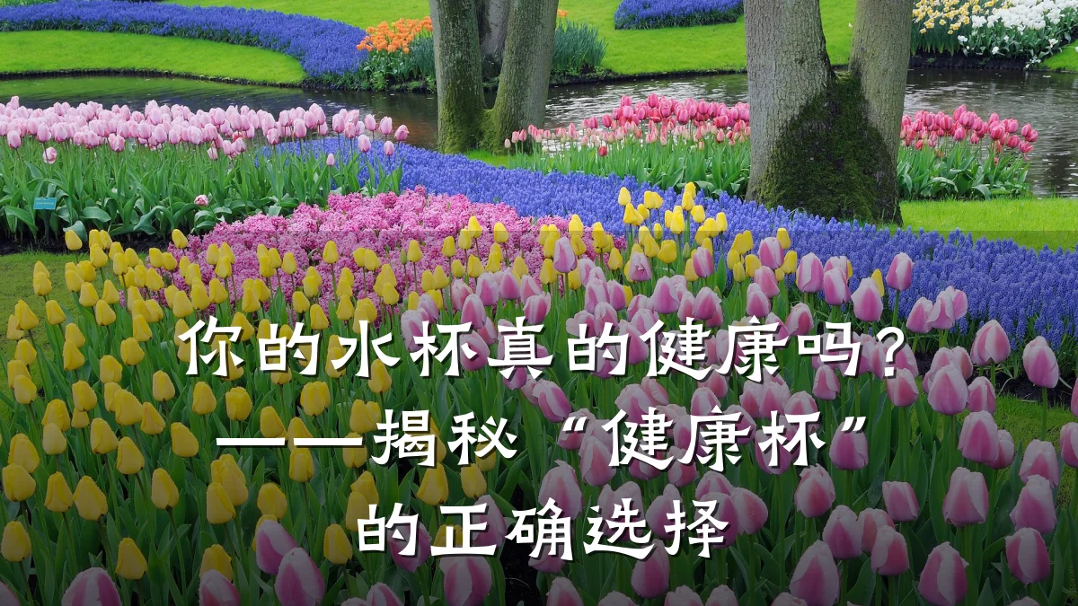 你的水杯真的健康吗?——揭秘“健康杯”的正确选择