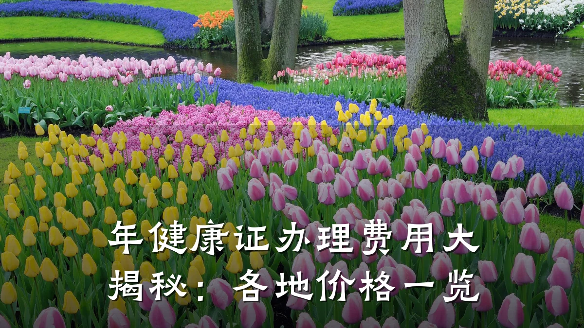 年健康证办理费用大揭秘:各地价格一览