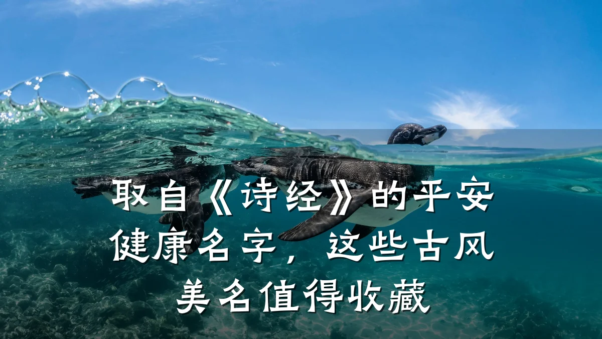 取自《诗经》的平安健康名字,这些古风美名值得收藏
