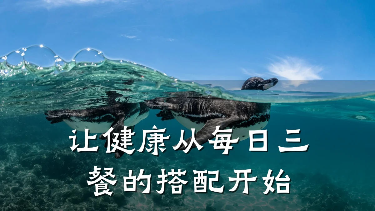让健康从每日三餐的搭配开始