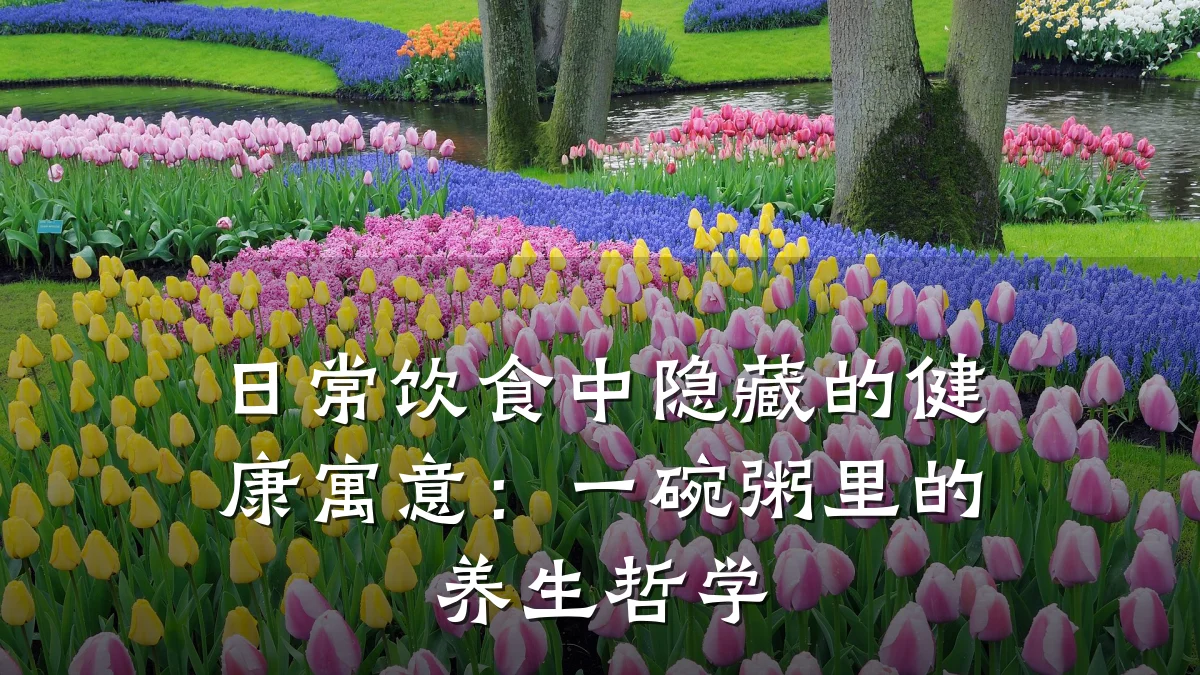 日常饮食中隐藏的健康寓意:一碗粥里的养生哲学