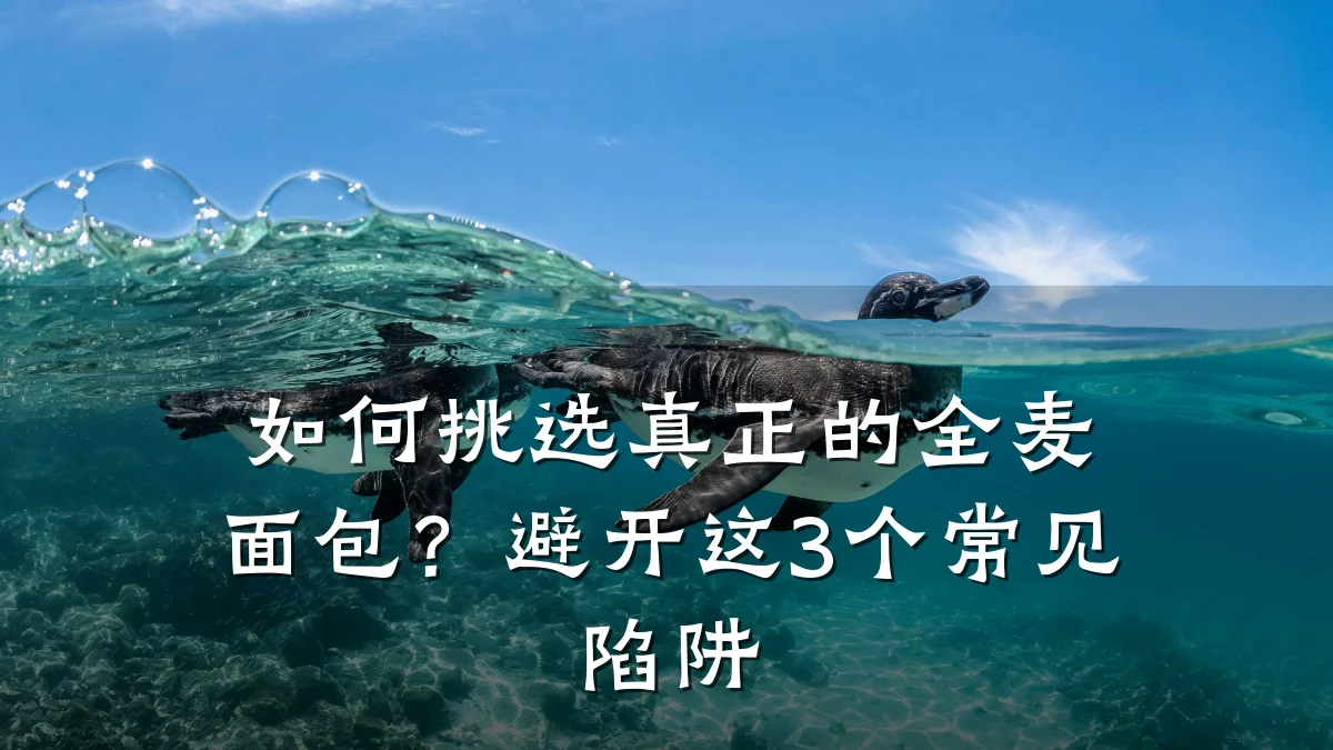 如何挑选真正的全麦面包?避开这3个常见陷阱