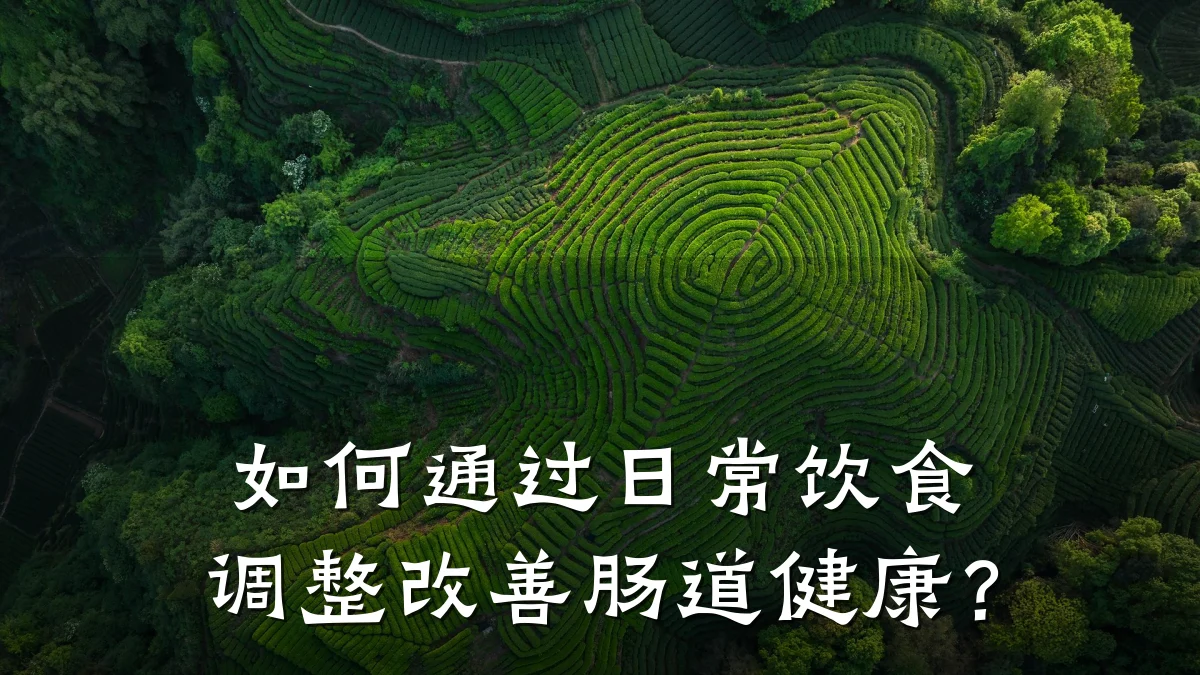 如何通过日常饮食调整改善肠道健康?