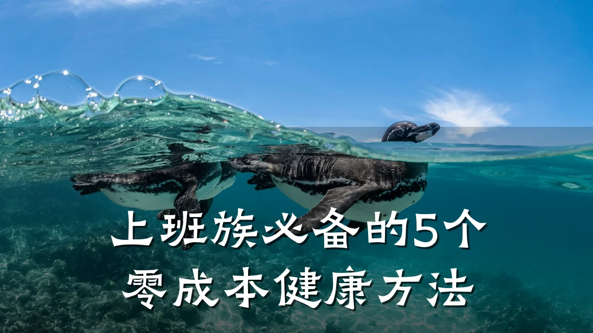 上班族必备的5个零成本健康方法