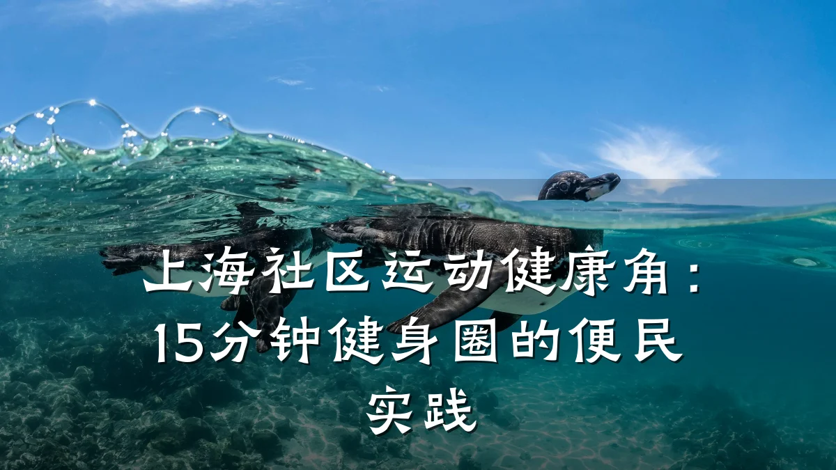 上海社区运动健康角:15分钟健身圈的便民实践
