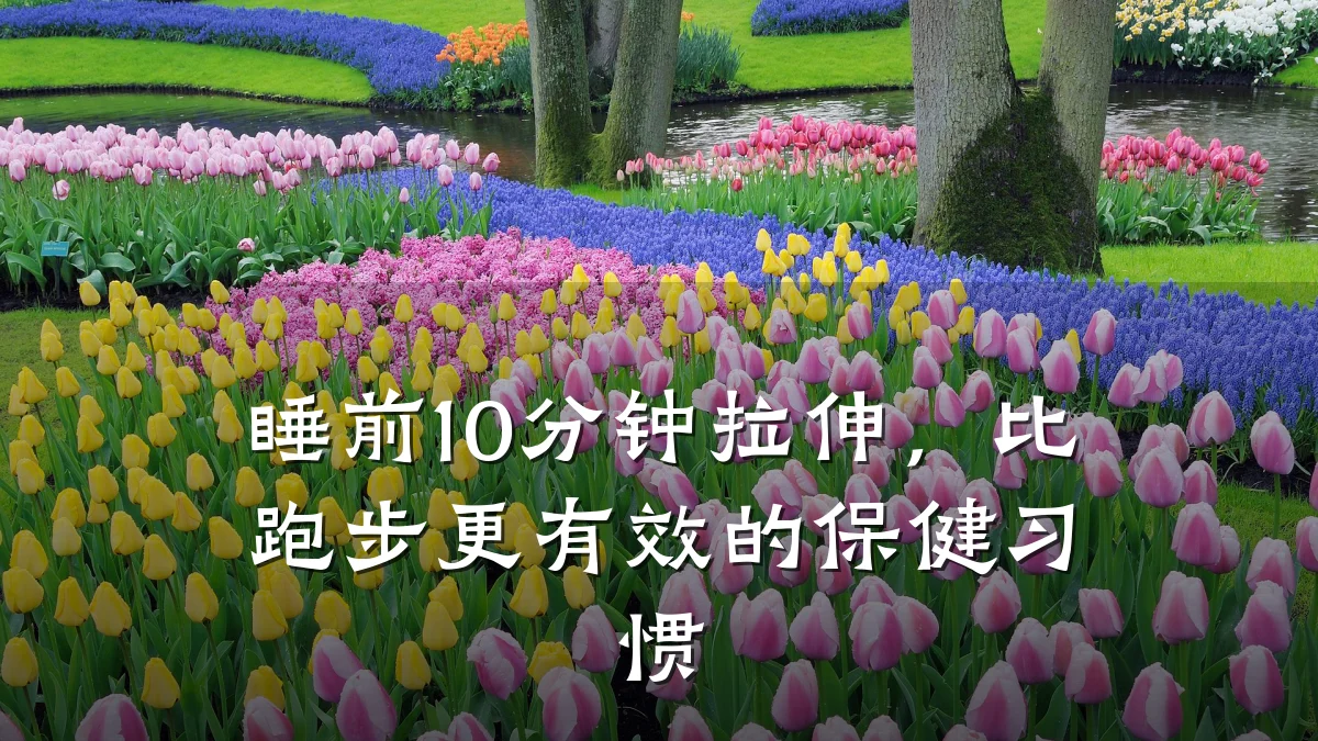 睡前10分钟拉伸,比跑步更有效的保健习惯