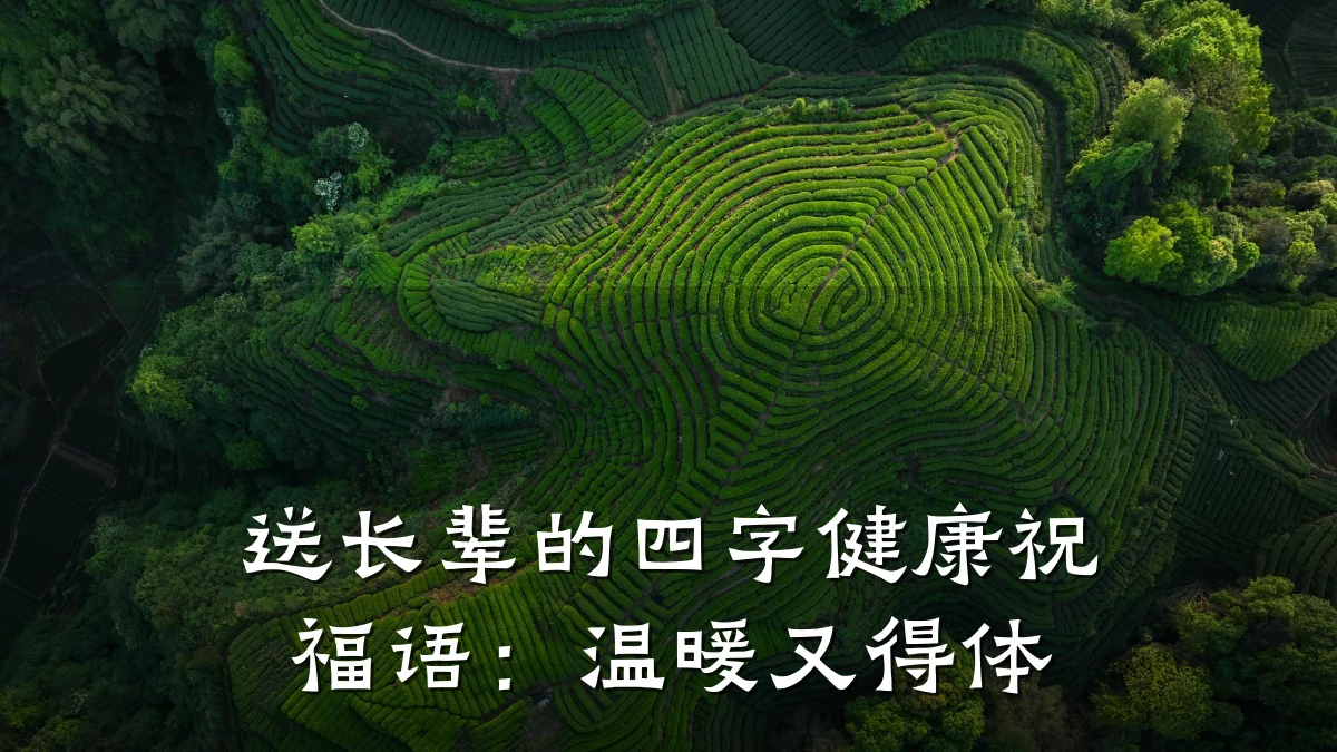 送长辈的四字健康祝福语:温暖又得体