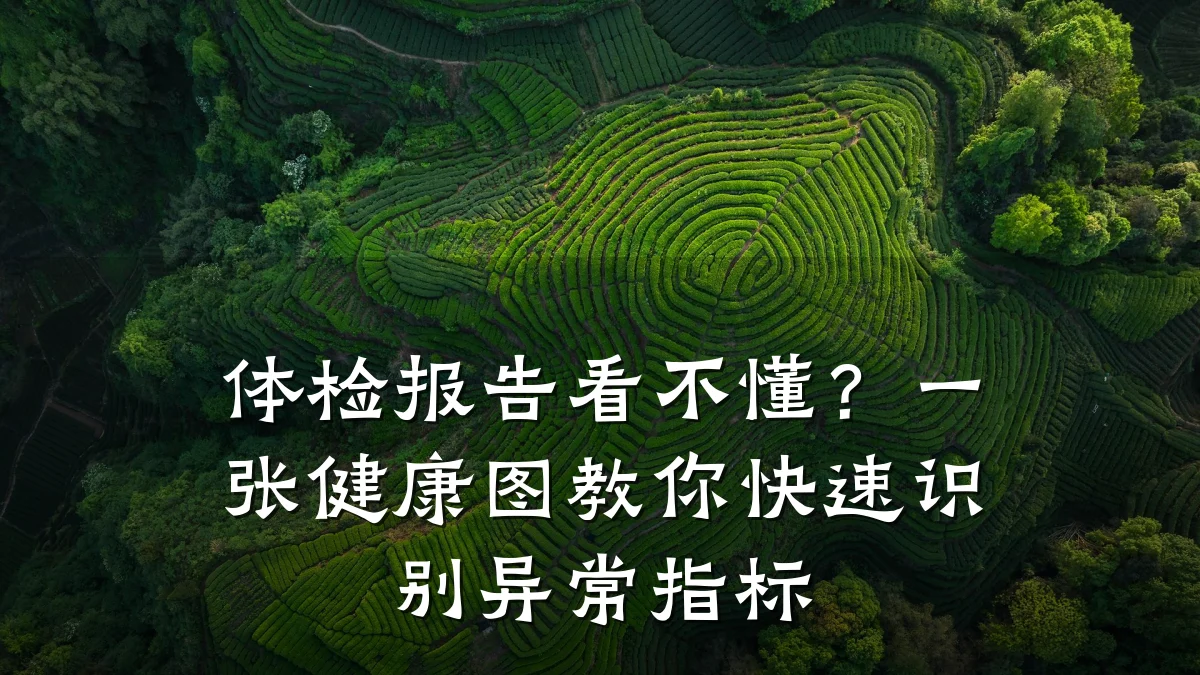 体检报告看不懂?一张健康图教你快速识别异常指标