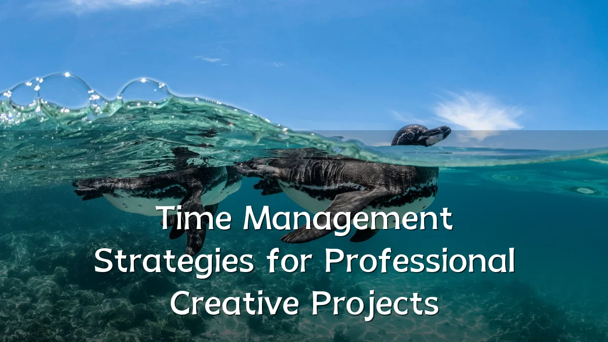 Time Management Strategies for Professional Creative Projects