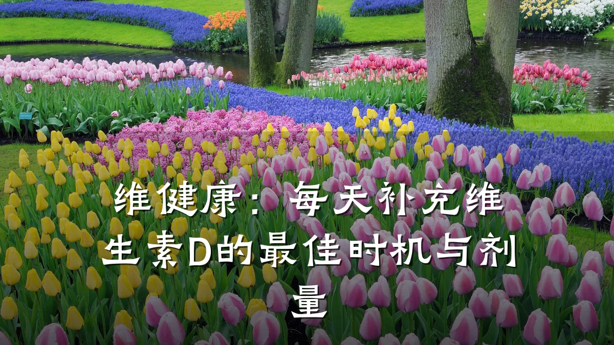 维健康:每天补充维生素D的最佳时机与剂量