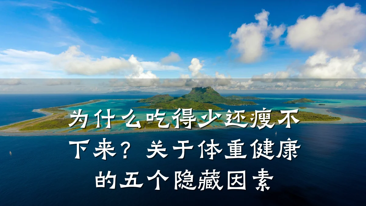 为什么吃得少还瘦不下来?关于体重健康的五个隐藏因素