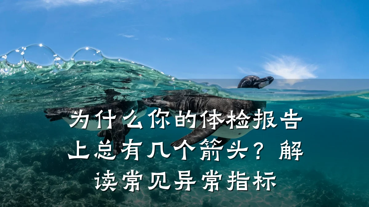 为什么你的体检报告上总有几个箭头？解读常见异常指标