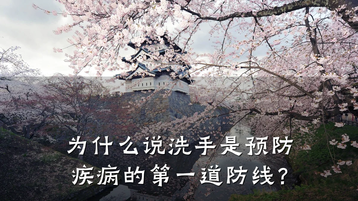 为什么说洗手是预防疾病的第一道防线?