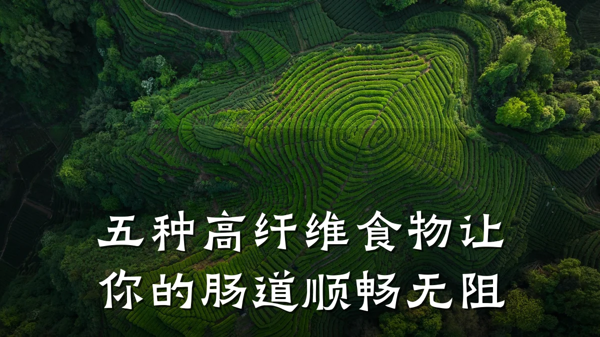 五种高纤维食物让你的肠道顺畅无阻