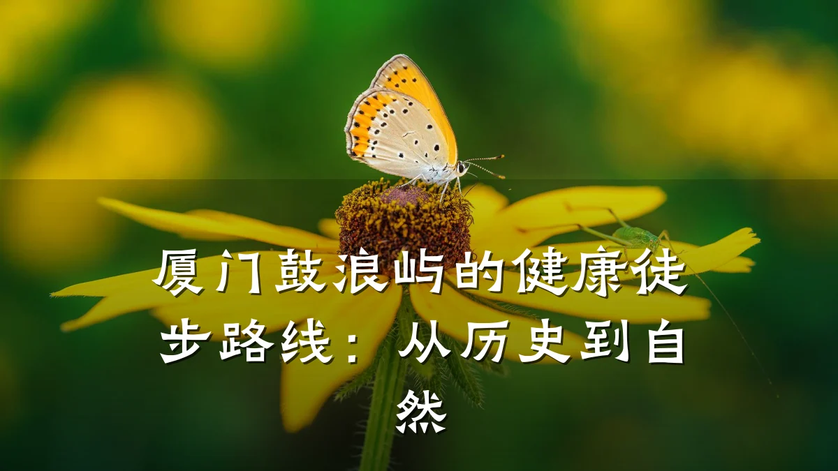 厦门鼓浪屿的健康徒步路线:从历史到自然