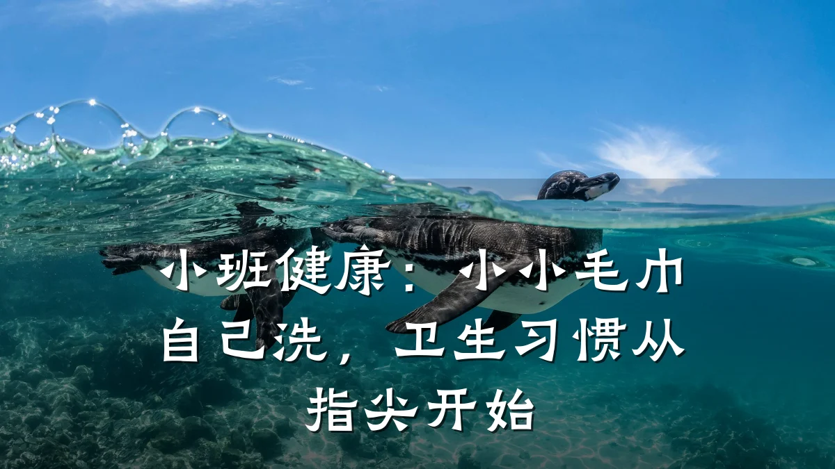 小班健康:小小毛巾自己洗,卫生习惯从指尖开始