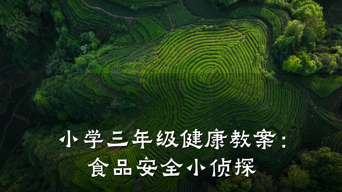 小学三年级健康教案:食品安全小侦探