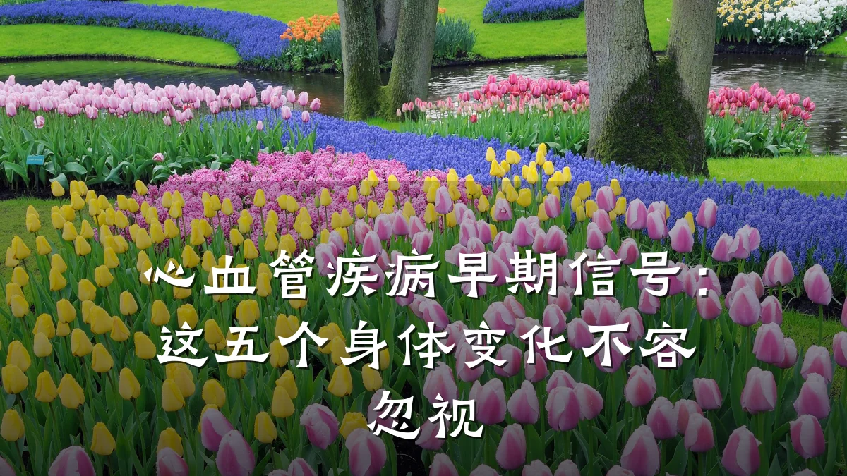 心血管疾病早期信号:这五个身体变化不容忽视