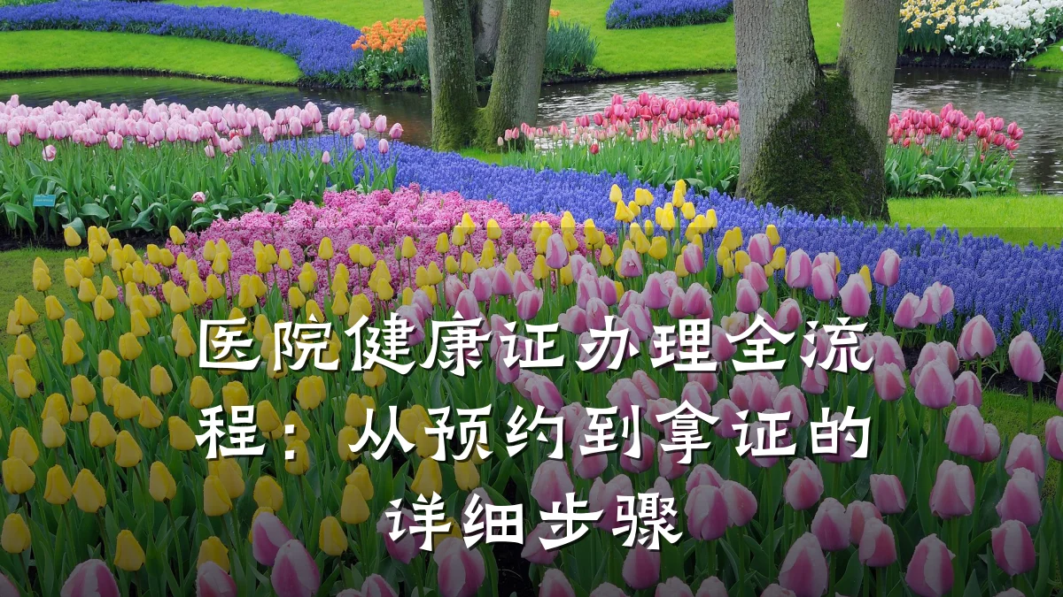 医院健康证办理全流程:从预约到拿证的详细步骤