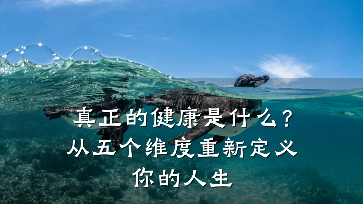 真正的健康是什么?从五个维度重新定义你的人生