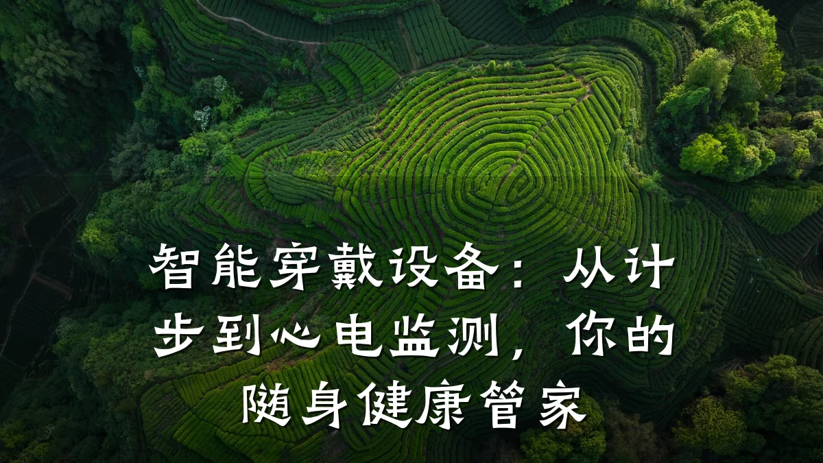 智能穿戴设备:从计步到心电监测,你的随身健康管家