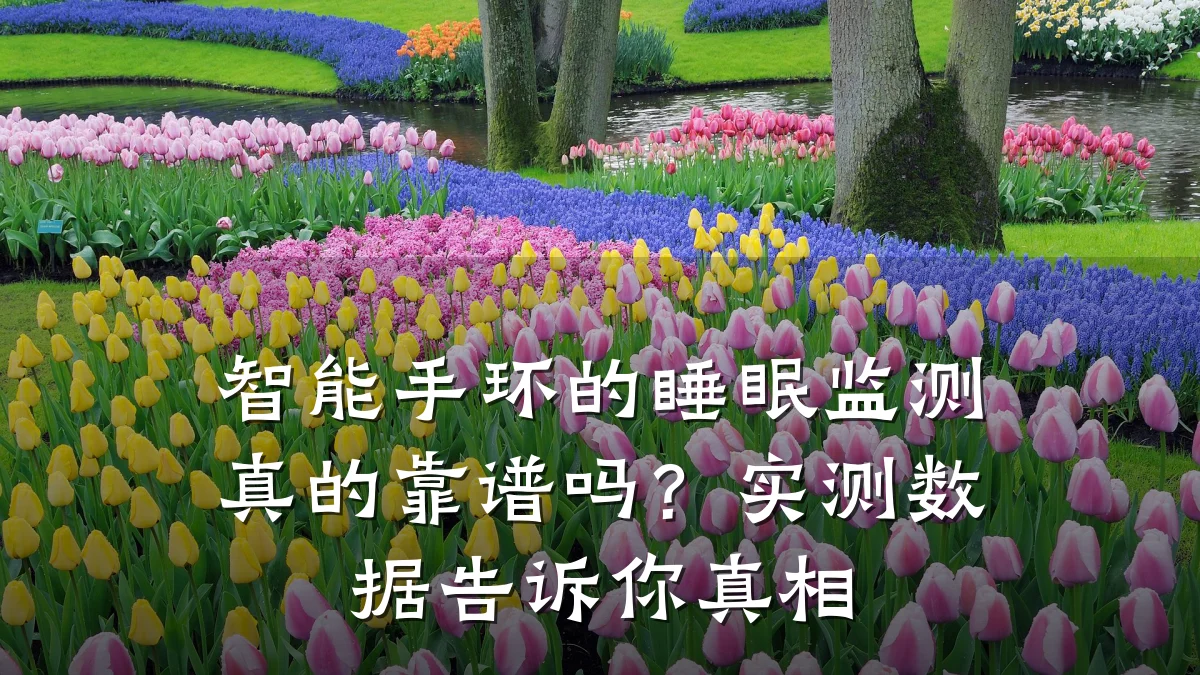 智能手环的睡眠监测真的靠谱吗?实测数据告诉你真相